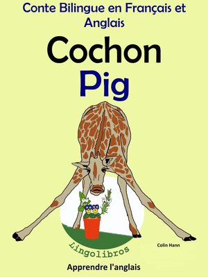 cover image of Conte Bilingue en Français et Anglais